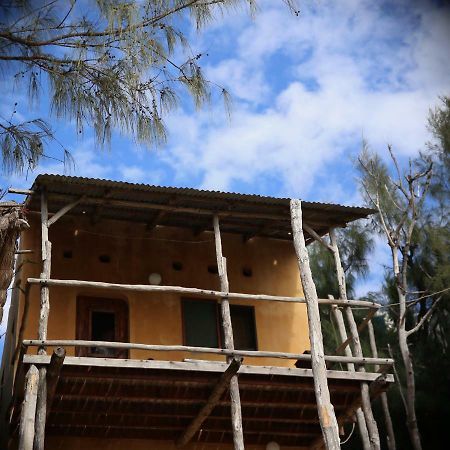 Tree House Cottage, Ocean View Tofo Exterior photo